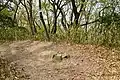 山頂