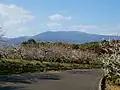 牛尾梅林と天山