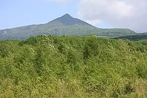 大滝区から見た徳舜瞥山(2012年6月)