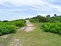 二重目から三重目への登山道
