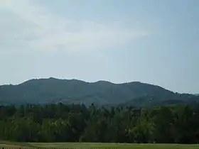野牛山