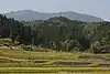 南山麓の国道303号から望む横山岳（2016年5月21日）