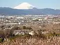 曽我山の中腹からの梅林と富士山の眺望。