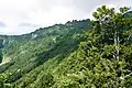 頂稜部の八ッ峰