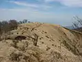 箒杉沢ノ頭の山頂部