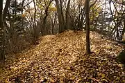 革籠石山付近の登山道