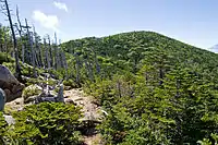 最高峰、北奥千丈岳(2601m)