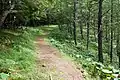 奥仙重付近の登山道