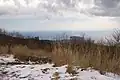 幕山からの眺望