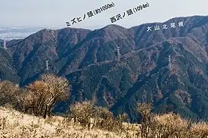 三ノ塔付近から望むミズヒノ頭と西沢ノ頭