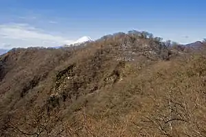 花立より望む大丸