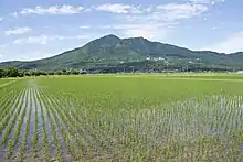 筑波山麓の水田（つくば市）