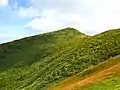 新潟県側は成層火山の円錐形の形状が認められる。