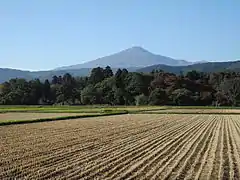 北北東から