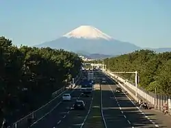 湘南海岸のマツ林(神奈川県、砂防指定地)