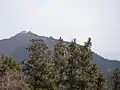日の出山、御岳山山頂付近から