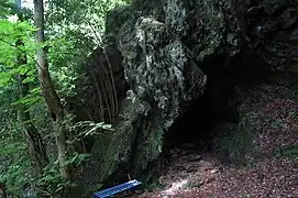 栗柄ルート登山道にある愛染窟