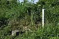 赤久縄山一等三角点