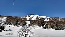 焼額山(東側斜面)