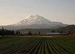 アダムズ山アメリカ
