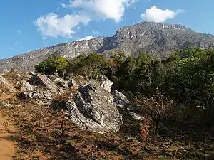 ビンガ山