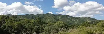 南西から