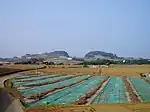 岩堂山