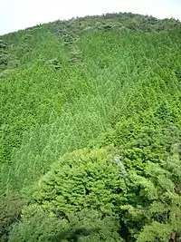 西お多福山