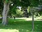 コールデ広場