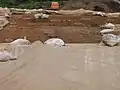 発掘現場(妻木新山地区)