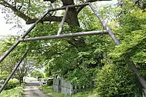 鉄柱で支えられ保護されている。