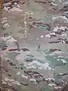 グラデーションを配する迷彩は珍しい(米軍採用型ではなく初期のもの)