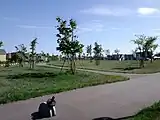 サクラの広場