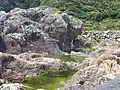 行水の池