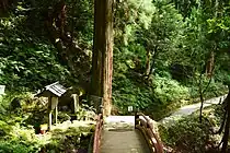 奥の院参道の無明橋とシダ群落