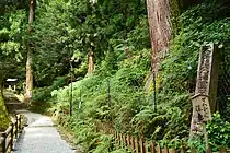 室生山暖地性シダ群落。天然記念物指定石碑。