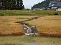 復元された導水路