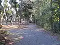 八幡道