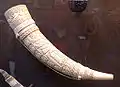 ゾウの牙にキリスト昇天の場面が刻まれた角笛 (11世紀後半)