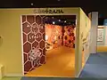 展示室（ミツバチの巣の紹介）