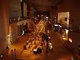 アースモールを見下ろす（2003年10月撮影）