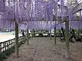境内