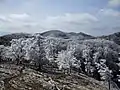 東方の桧塚奥峰から望む明神岳