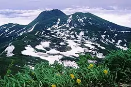 火打山から望む妙高山とタンポポ(1996年6月29日)