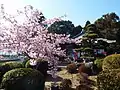 明王院（2番）不動堂本尊