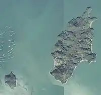 1981年