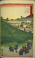 19.泉州堺なにわやの松（安政6年9月）