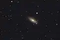 アマチュア望遠鏡によるNGC 2841の画像