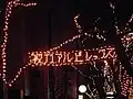 2004年1月 アルビレックス新潟のJ1昇格を祝福