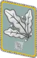 襟章